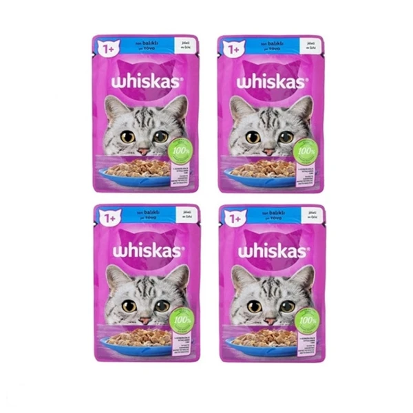 پوچ گربه بالغ ویسکاس مدل گروی طعم ماهی قزل آلا وزن 85 گرم مجموعه 4 عددی