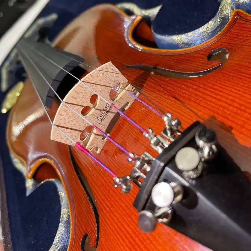 ویولن پائولو لئنری مدل M7