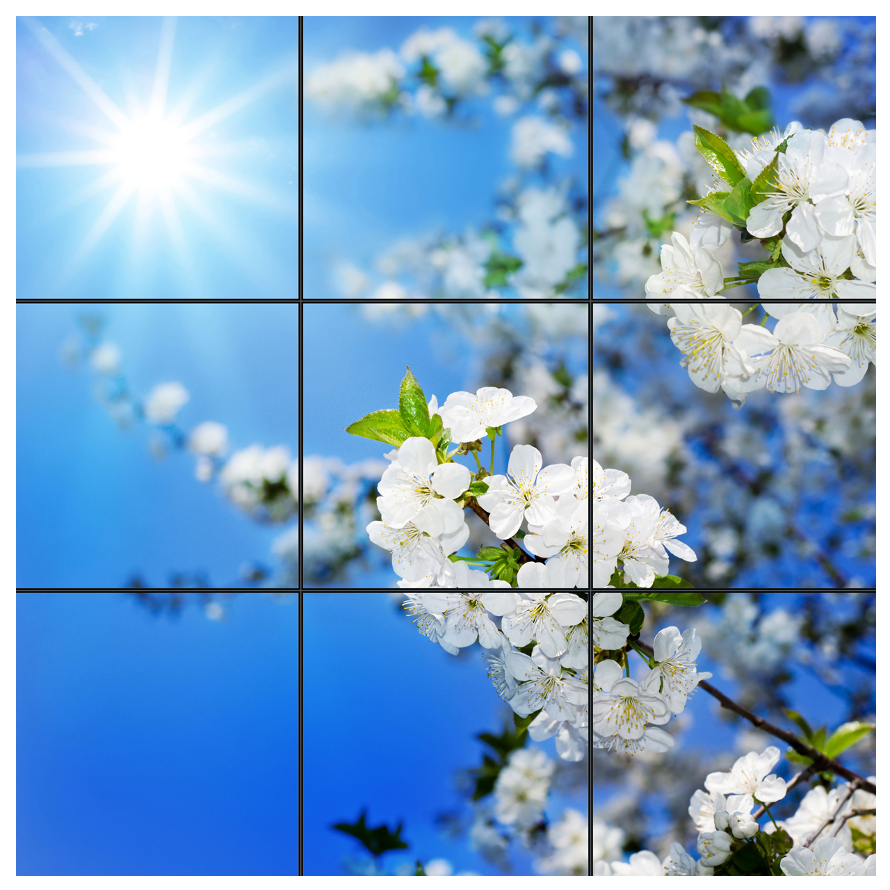 تایل سقفی آسمان مجازی طرح شکوفه و خورشید کد 0100 سایز 60x60 سانتی متر مجموعه 9 عددی