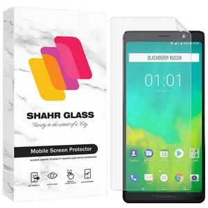 Shahr Glass SFNMB20 Screen Protector For BlackBerry Evolve