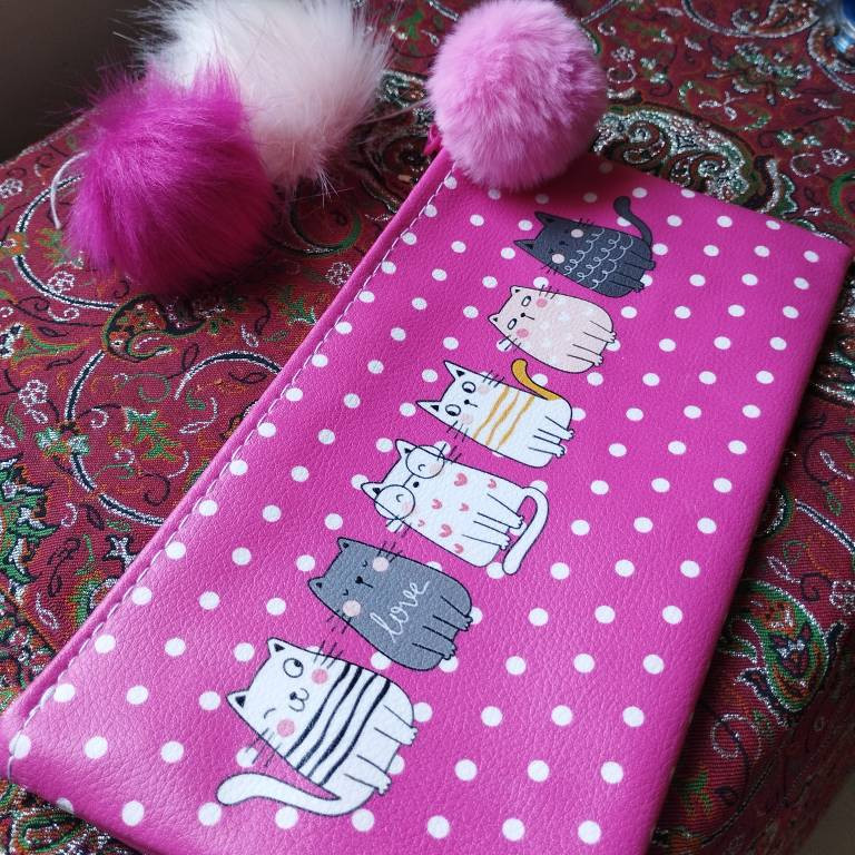 جامدادی پانی پو مدل  گربه شاد