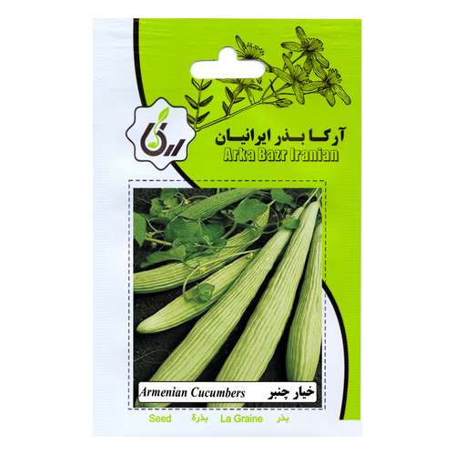 بذر خیار چنبر آرکا بذر ایرانیان کد ARK-129