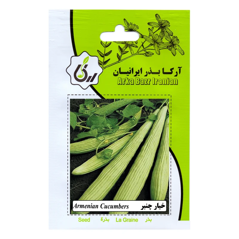 بذر خیار چنبر آرکا بذر ایرانیان کد ARK-129