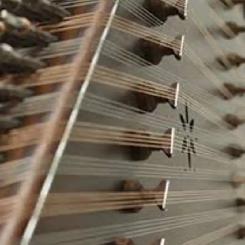 سنتور فرد مدل جهان