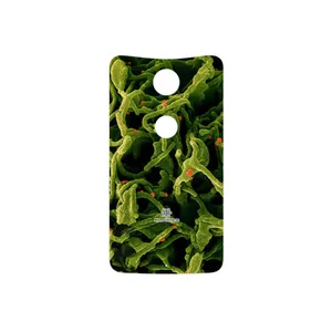 MAHOOT Atom Universe 2 Cover Sticker for Google Nexus 6