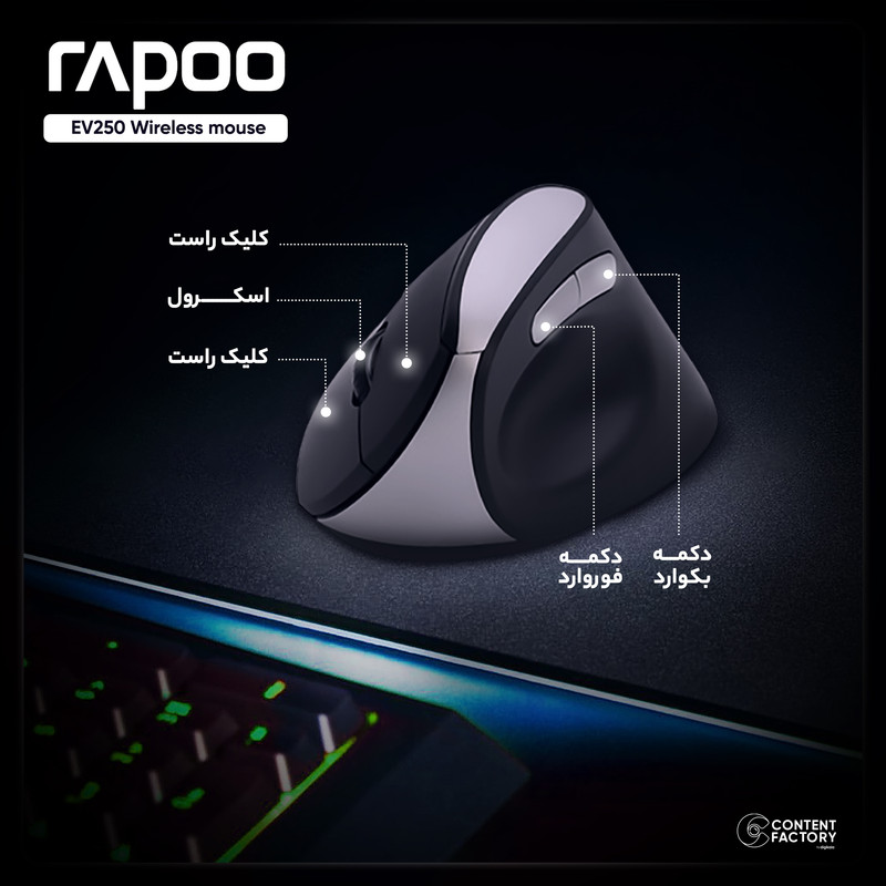 ماوس بی سیم رپو مدل EV250