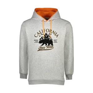 هودی مردانه آریا پارس مدل آریو-166