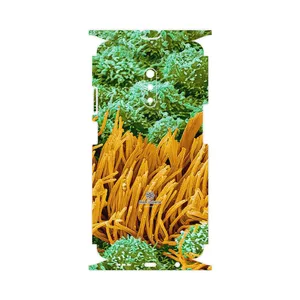 MAHOOT Atom Universe 6-FullSkin Cover Sticker for Oppo Realme X