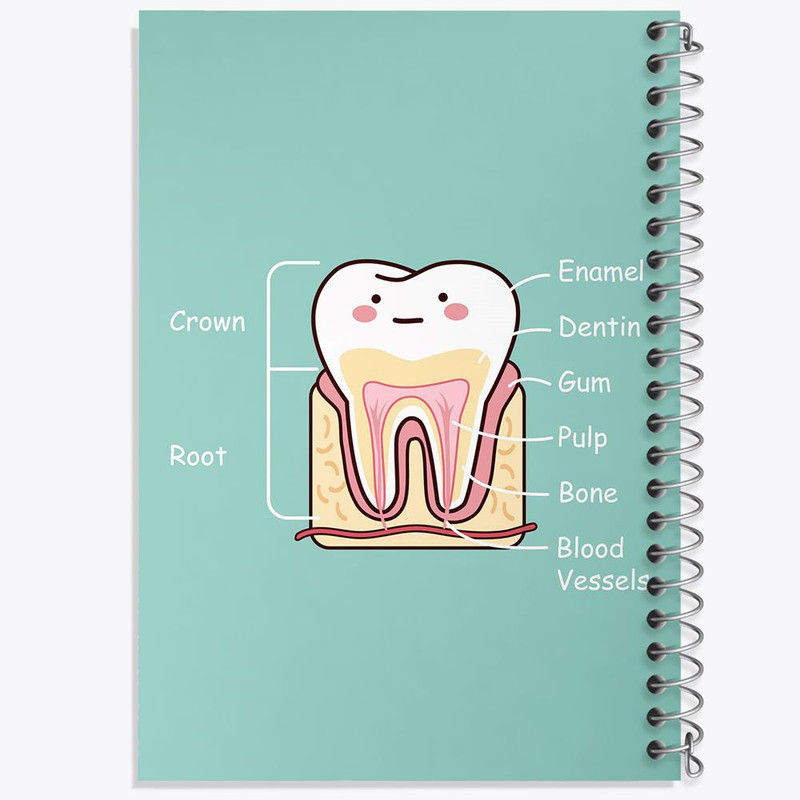 دفتر مشق 100 برگ خندالو طرح دندان و دندانپزشکی کودکانه کد 27754