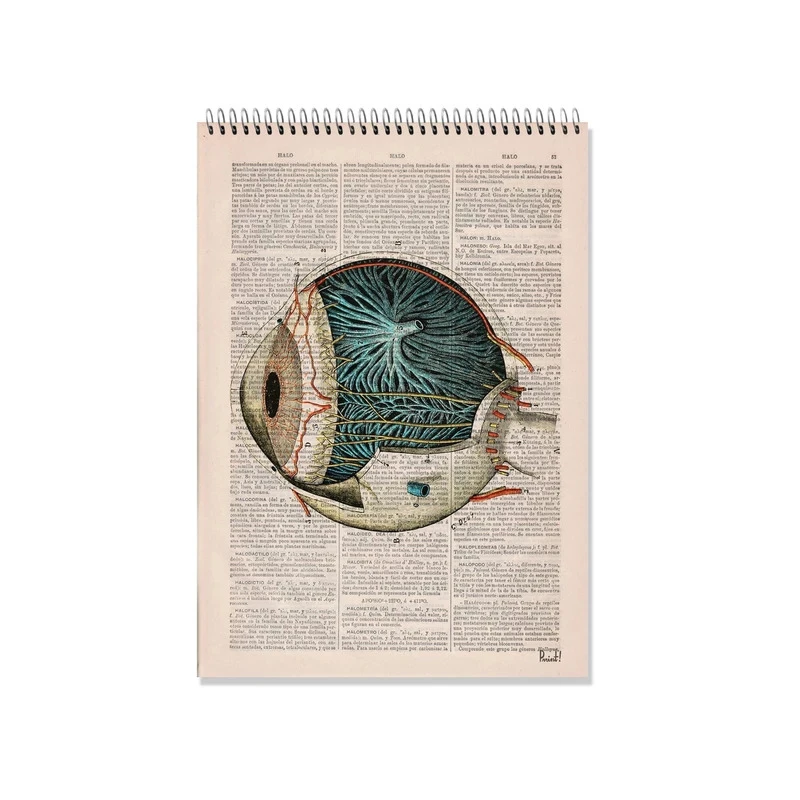 دفتر شطرنجی 100 برگ طرح آناتومی چشم