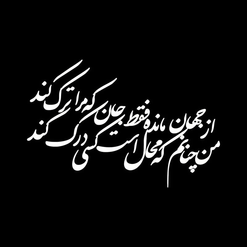 برچسب بدنه خودرو کد B100