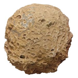سنگ راف مرجانی مدل s1