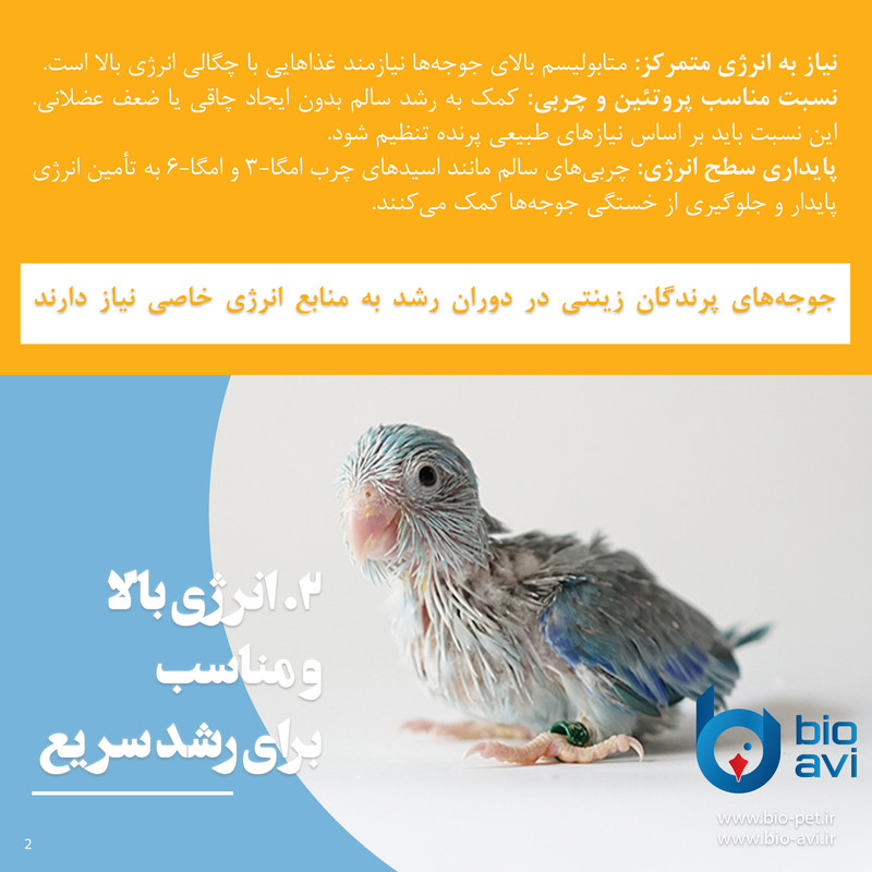 غذای کمکی طوطی سانان بایو اوی مدل HR19 وزن 500 گرم