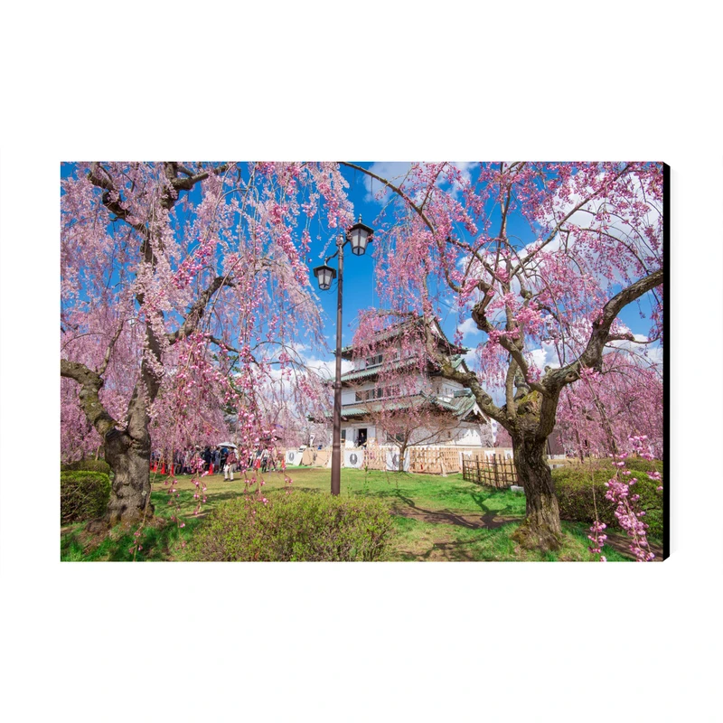 تابلو شاسی عرش طرح گردشگری ژاپن مدل جشنواره شکوفه‌های گیلاس پارک هیروساکی کد As6155