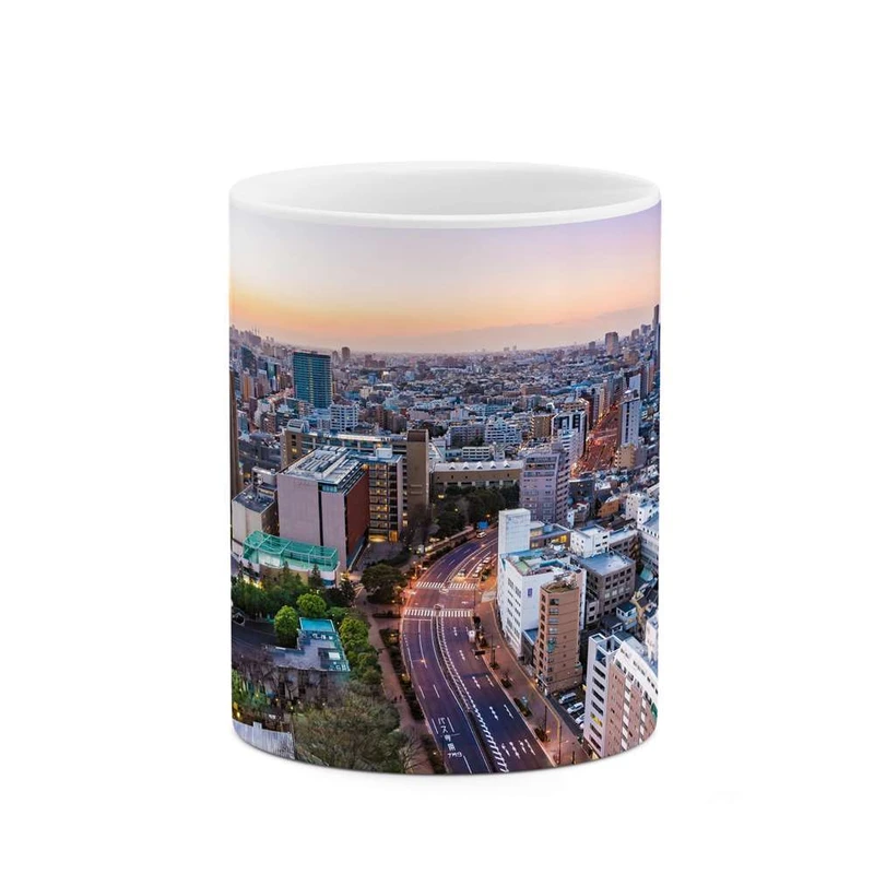 ماگ کاکتی مدل شهر کد mgh13338