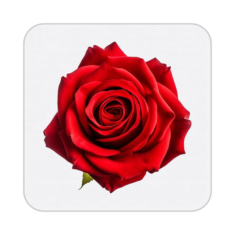 زیر لیوانی کاکتی طرح گل مدل mp18496