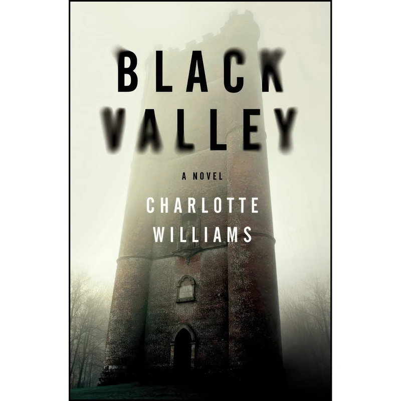 کتاب Black Valley اثر Charlotte Williams انتشارات Harper Paperbacks