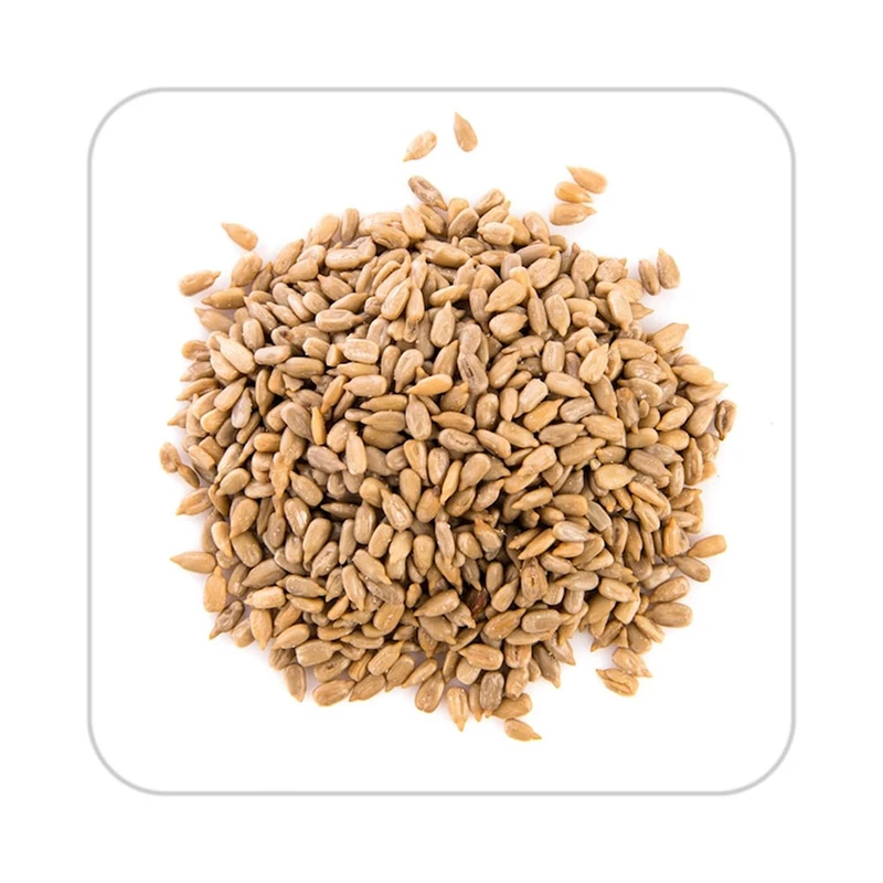 زیر لیوانی کاکتی مدل mp18875