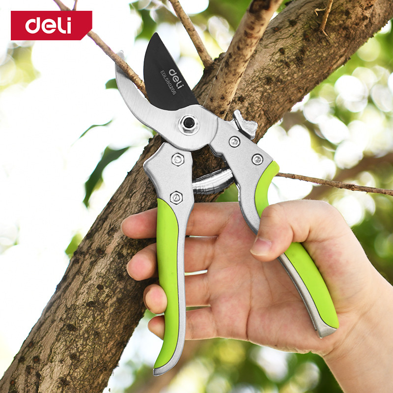 قیچی باغبانی دلی مدل DL580206 سایز 8 اینچ