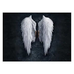 Wensoni Angel Wings Chassis 40 x 30