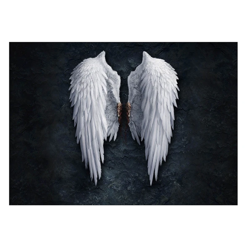 تابلو شاسی ونسونی طرح Angel Wings سایز 30 × 40