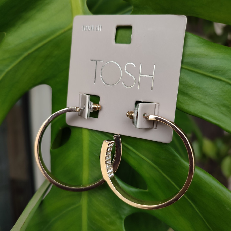 گوشواره زنانه تاش مدل میخی حلقه ای