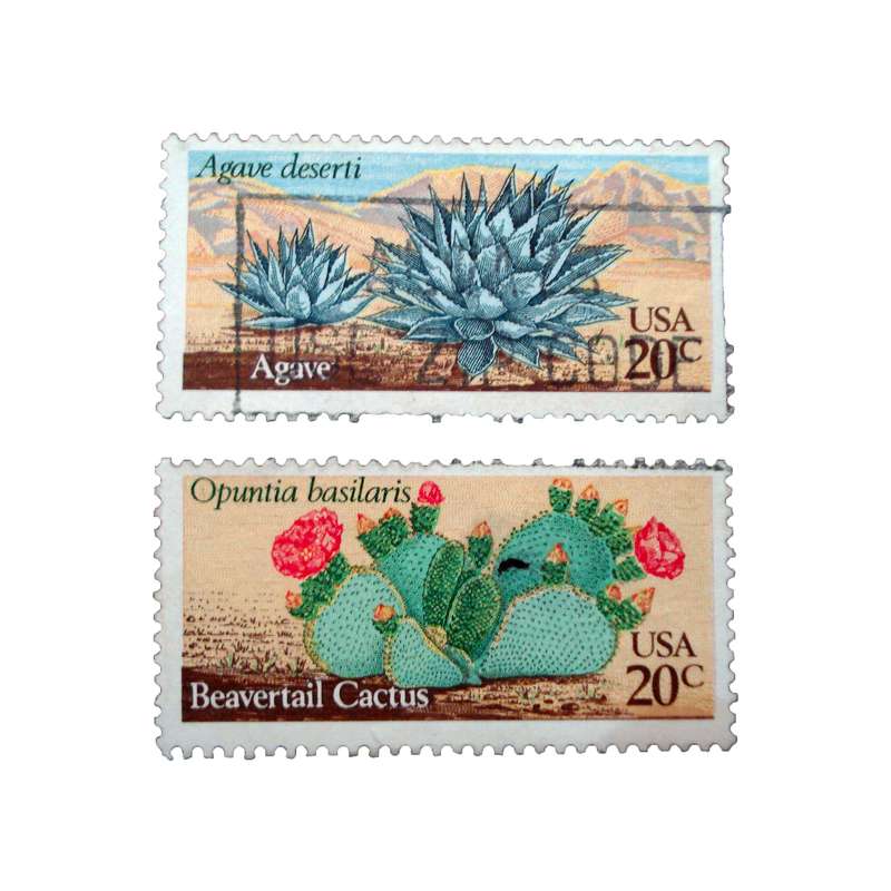 تمبر یادگاری مدل طبیعت کد bc-1843 مجموعه 2 عددی