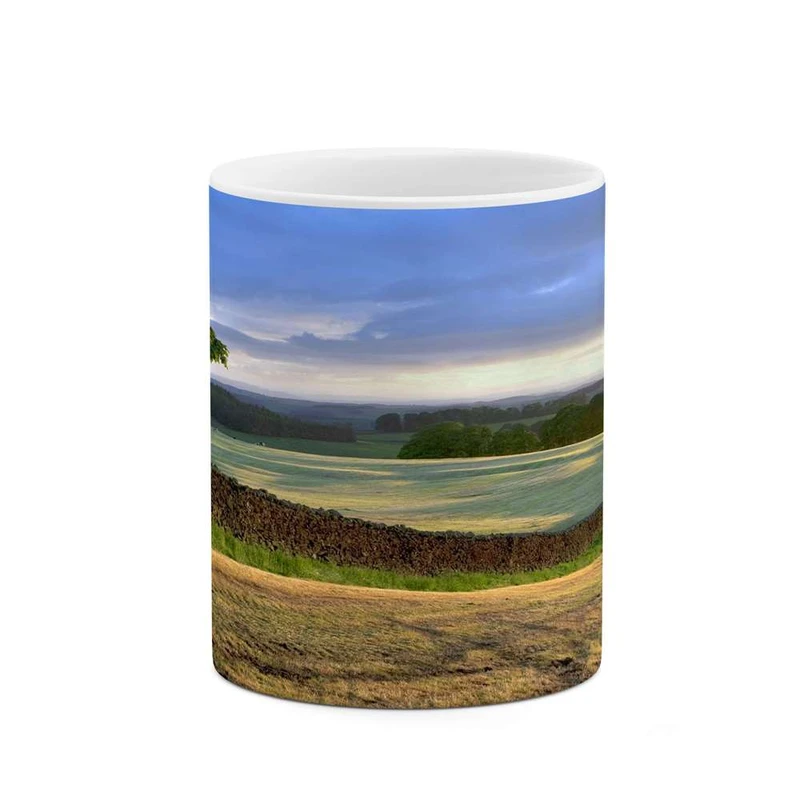 ماگ کاکتی مدل منظره کد mgh10789