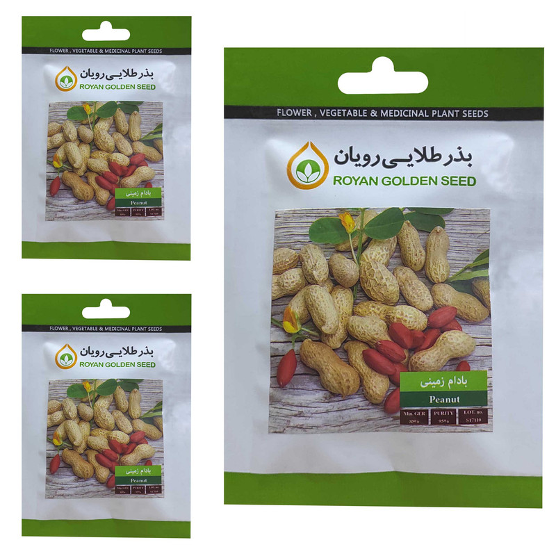 بذر بادام زمینی بذر طلایی رویان کد BZT-143 مجموعه 3 عددی