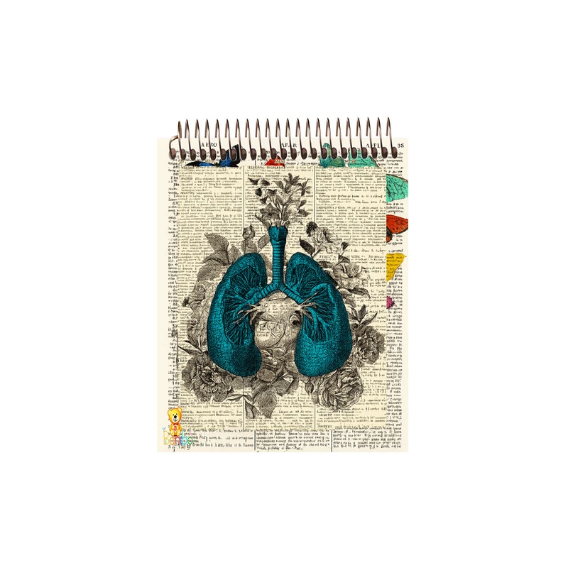 دفترچه نقاشی 50 برگ بانیبو مدل اناتومی بدن کد 2765