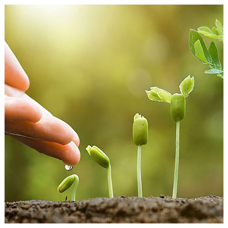 کود کامل زربار مدل سوپر SOPER-1 حجم 1 لیتر