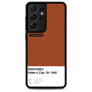 AKAM AMC-WSGS21U-PANTONE-14 Cover For Samsung Galaxy S21 Ultra