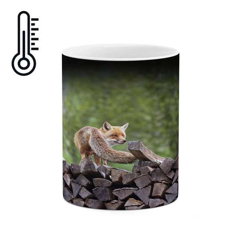 ماگ حرارتی کاکتی مدل روباه کد mgh14433