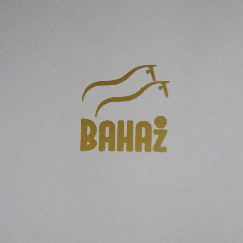 سطل زباله بهازکالا مدل کنار سالنی کد  YPKR-MAT-14L-70CM