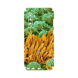 MAHOOT Atom Universe 6-FullSkin Cover Sticker for Samsung Galaxy Note 10