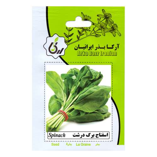 بذر اسفناج برگ درشت آرکا بذر ایرانیان کد ARK-215