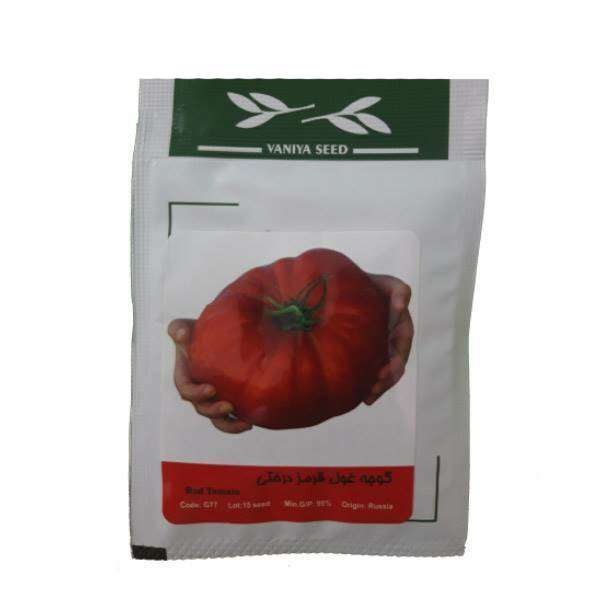 بذر گوجه غول قرمز درختی وانیا سید کد G77 بذر گوجه غول قرمز درختی وانیا سید کد G77