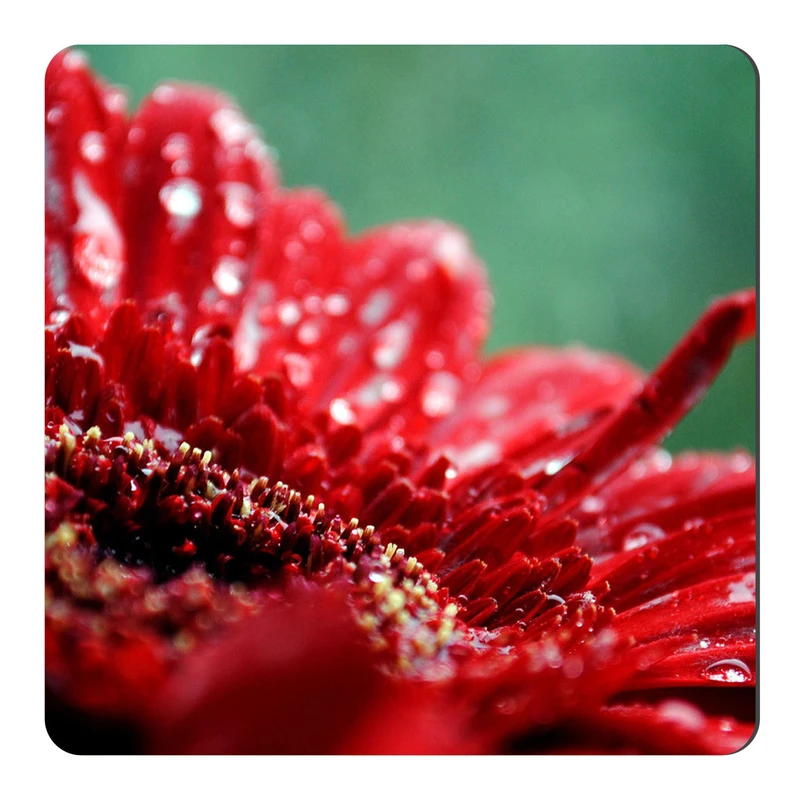  مگنت طرح گل و شبنم کد NIM1194 