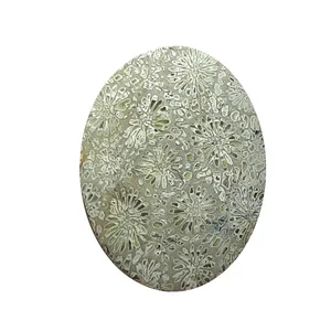 سنگ مرجان کد 1mr