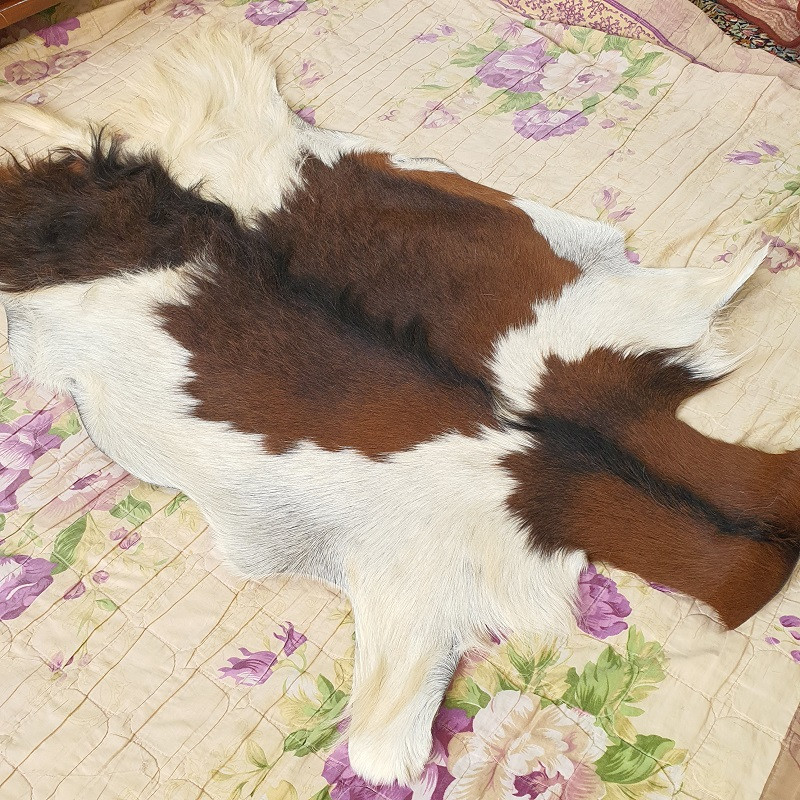 فرش پوست مدل Nixo 8147