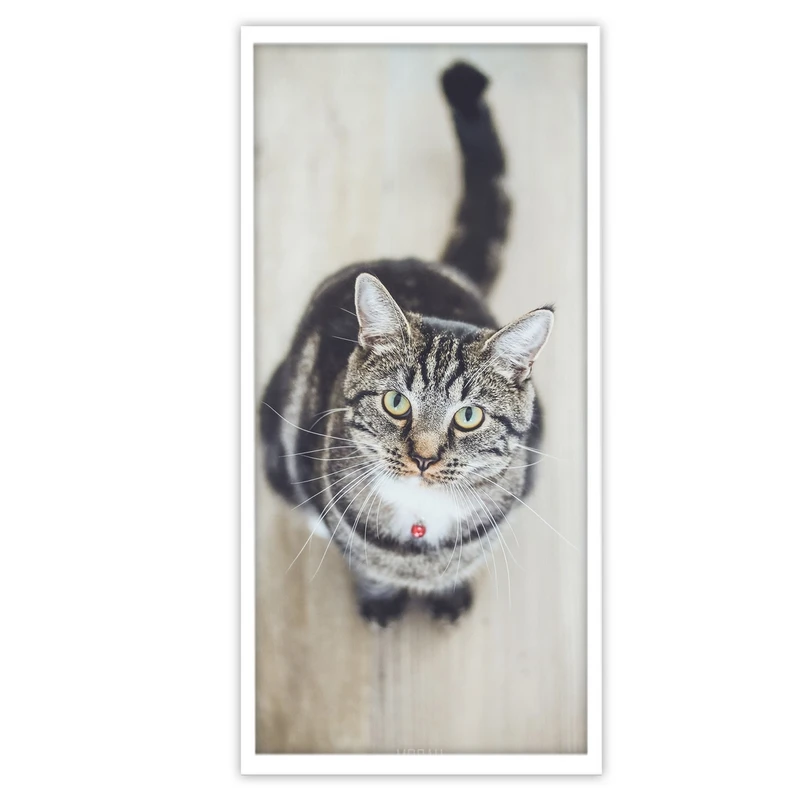 تابلو بکلیت طرح حیوان خانگی گربه مدل W-S3611