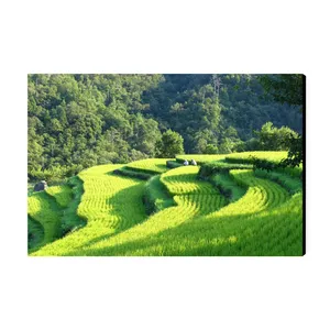 تابلو شاسی عرش طرح گردشگری ژاپن مدل تراس برنج اویاما کد As6224