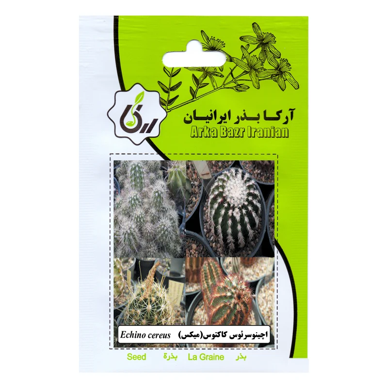 بذر اچینو سرئوس کاکتوس میکس آرکا بذر ایرانیان کد 116-ARK