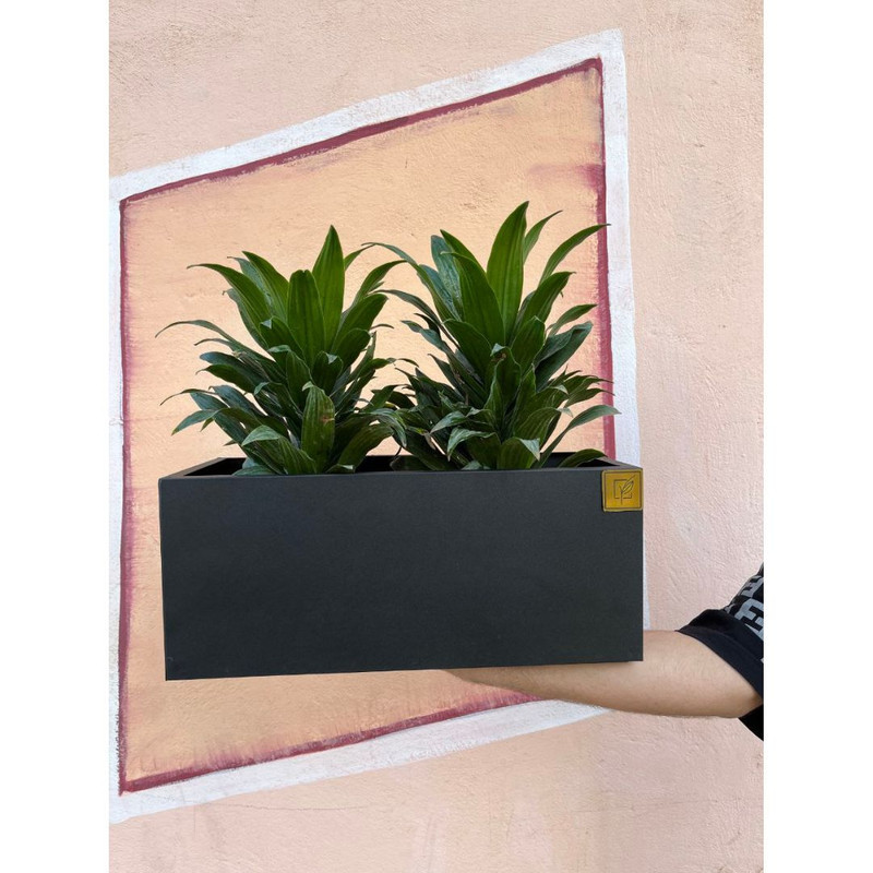 گلدان مدل باکس فلزی گل آذین کد 420