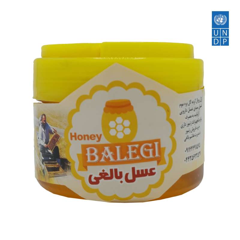 عسل شهد ارگانیک بالغی سولدوز - 250 گرم