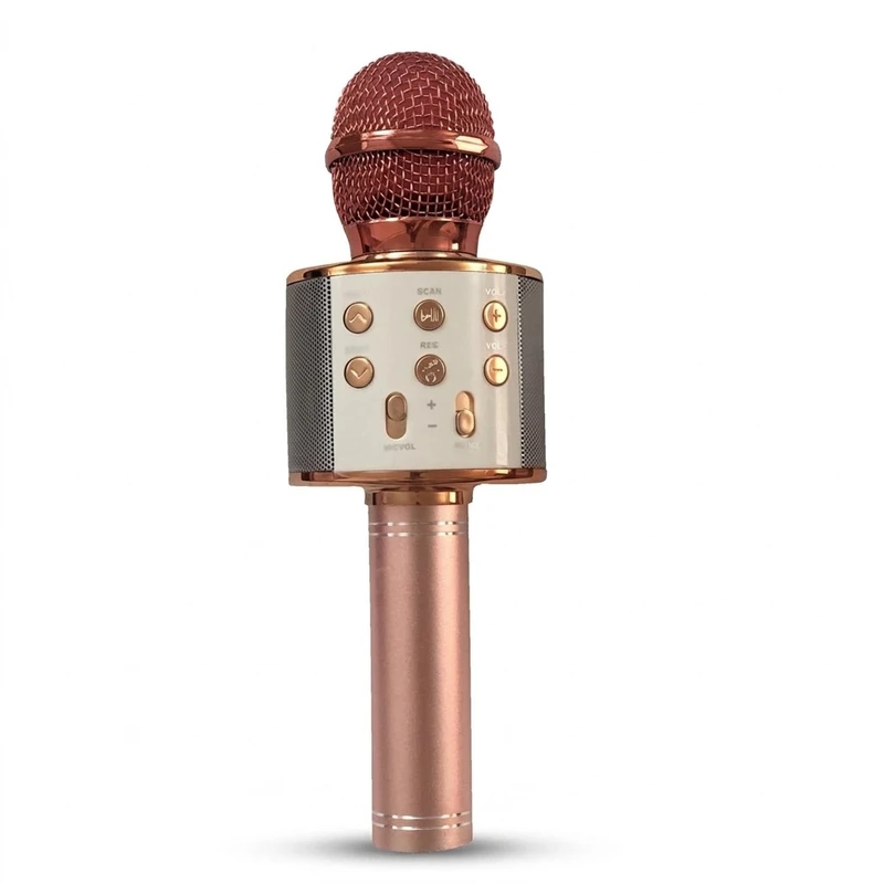 میکروفون اسپیکر مدل WS-858