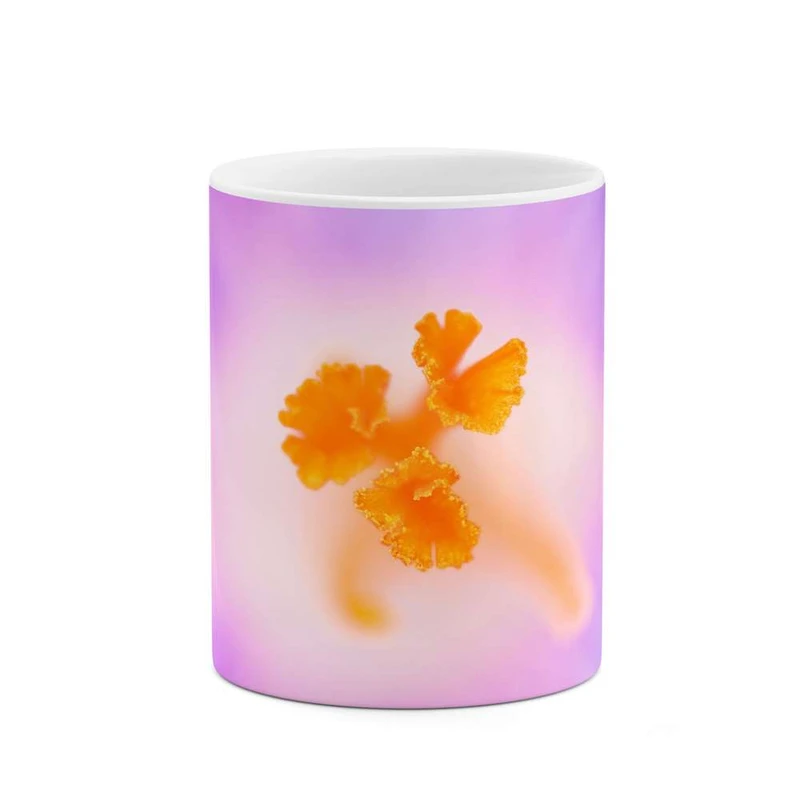 ماگ کاکتی مدل گل کد mgh12059