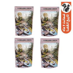 پوچ گربه بالغ تیست آف د وایلد مدل Lowland Creek Chunks in Gravy طعم مرغ و پرندگان بسته 4 عددی