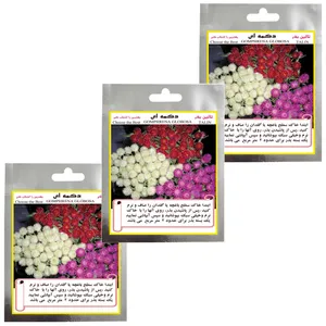 بذر گل دکمه ای تالین بذر مدل TAL-016 مجموعه 3 عددی