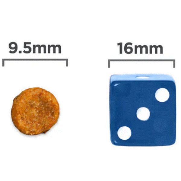 غذا خشک گربه بالغ هیلز مدل Urinary Care Stress طعم ماهی وزن 1500 گرم